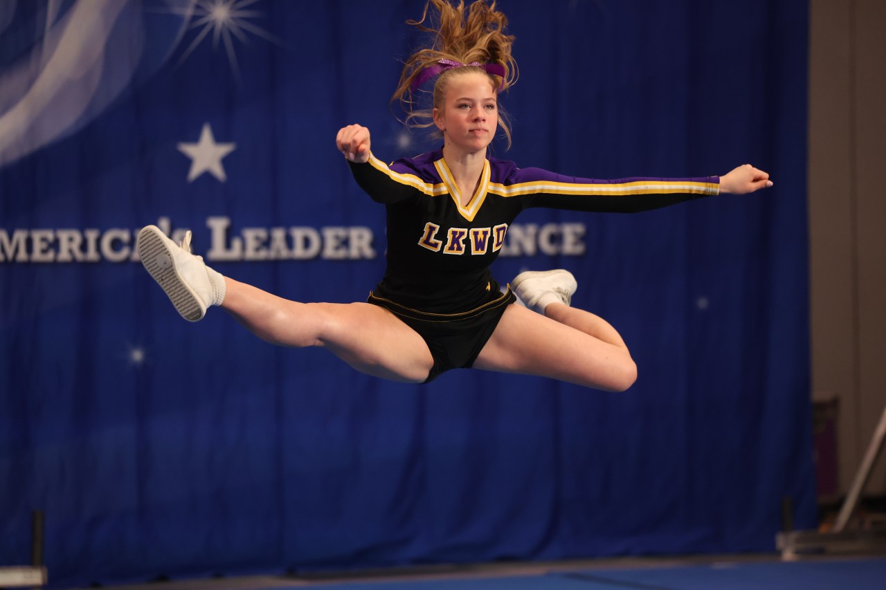 20260215-3768 20260215-3768